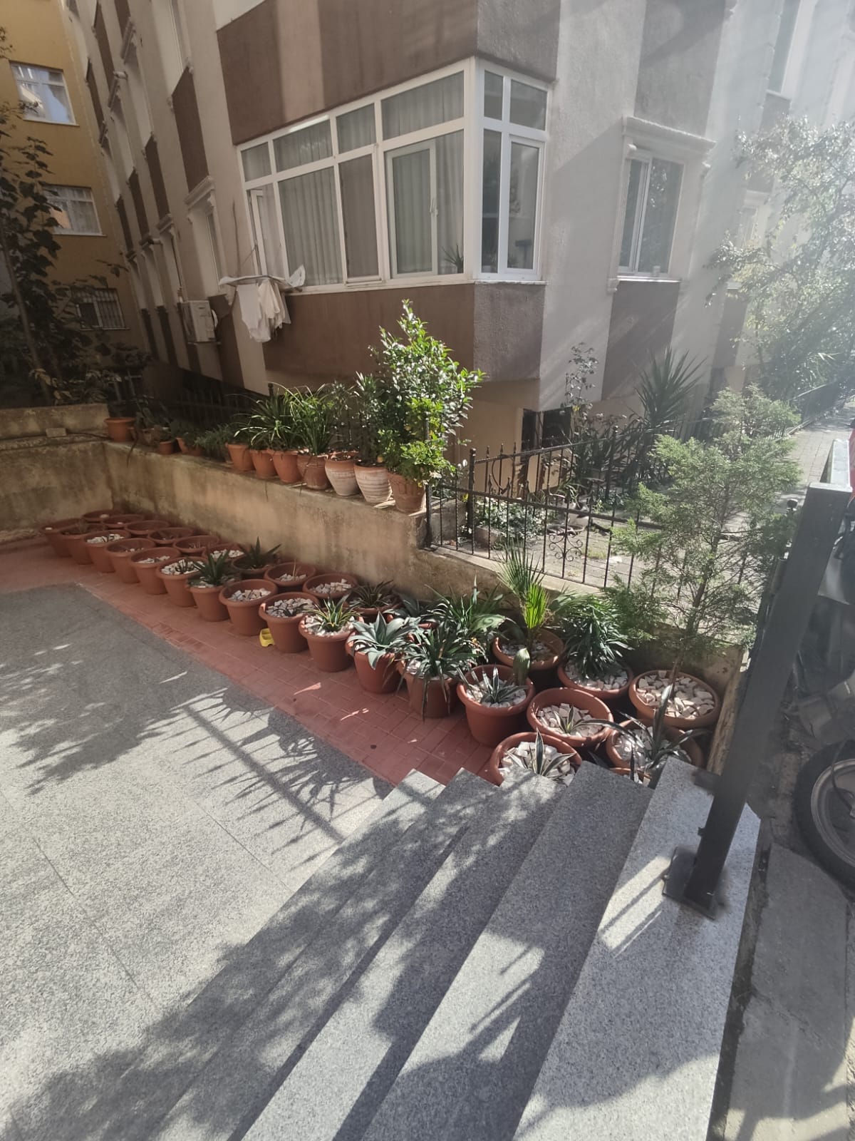 WhatsApp Image 2023-11-07 at 11.36.27 (4).jpeg