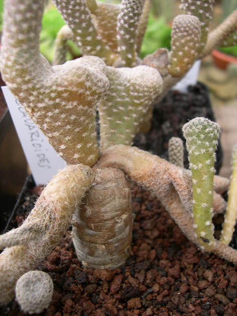 DSCN0010.JPG