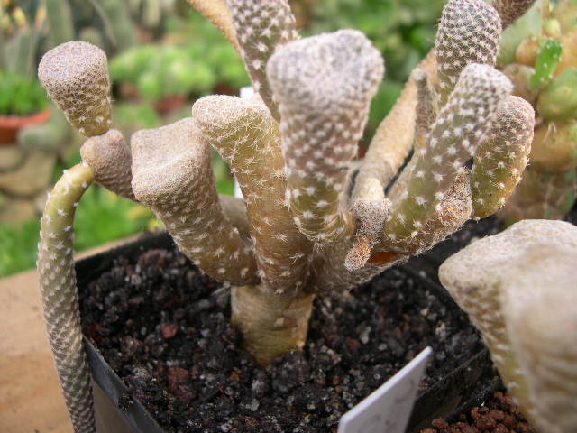 DSCN0020.JPG