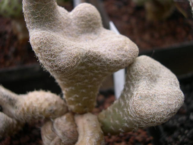 DSCN0025.JPG