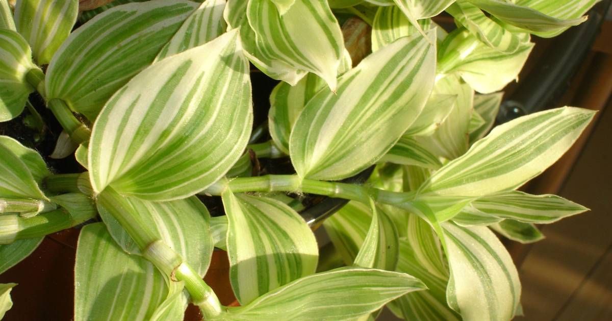 8ac9fc16da65af3f66f116b03731fd98 (1).jpg