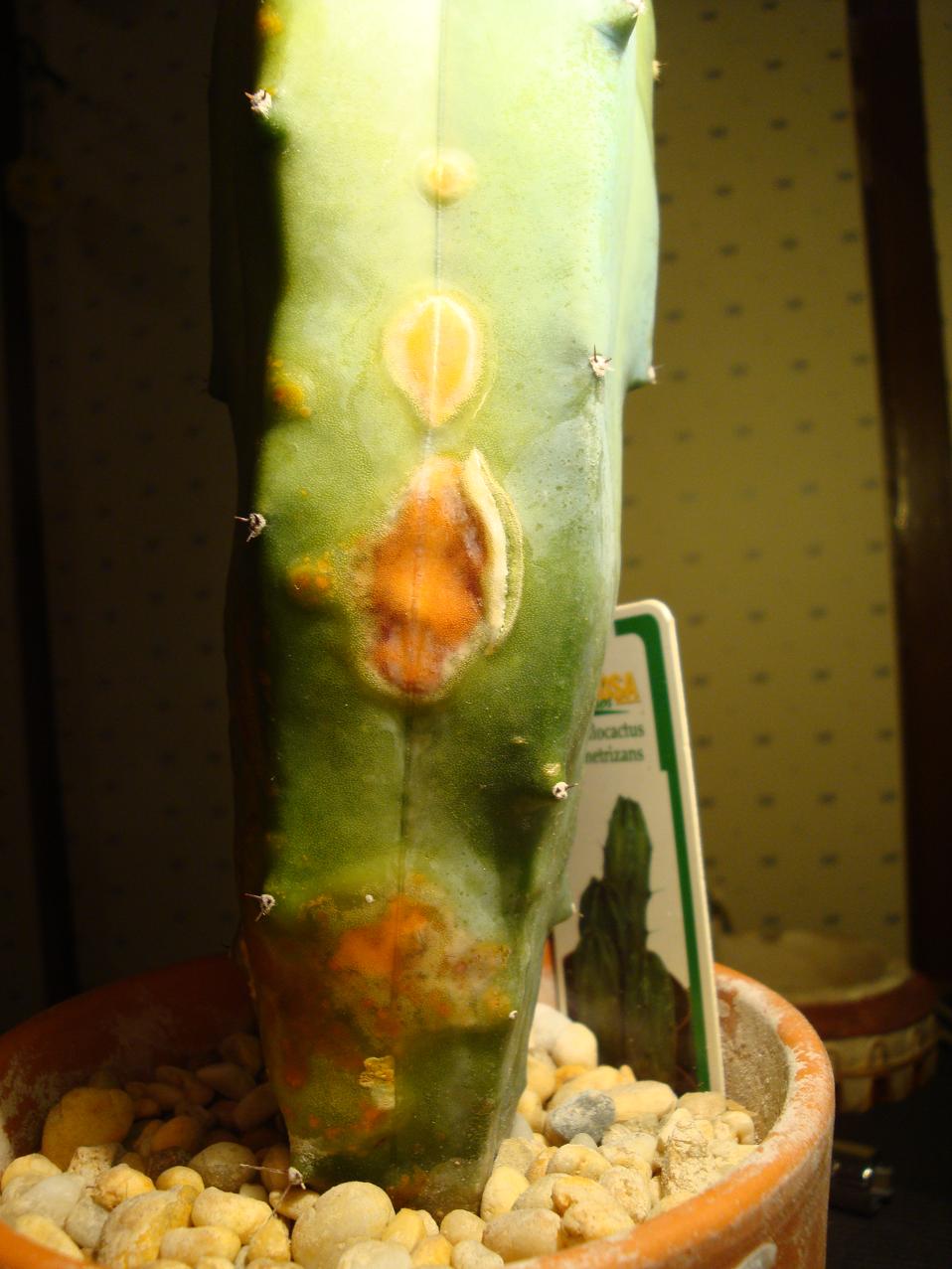 DSC01224.JPG