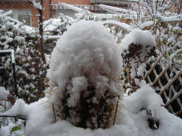 aNevada 024.jpg