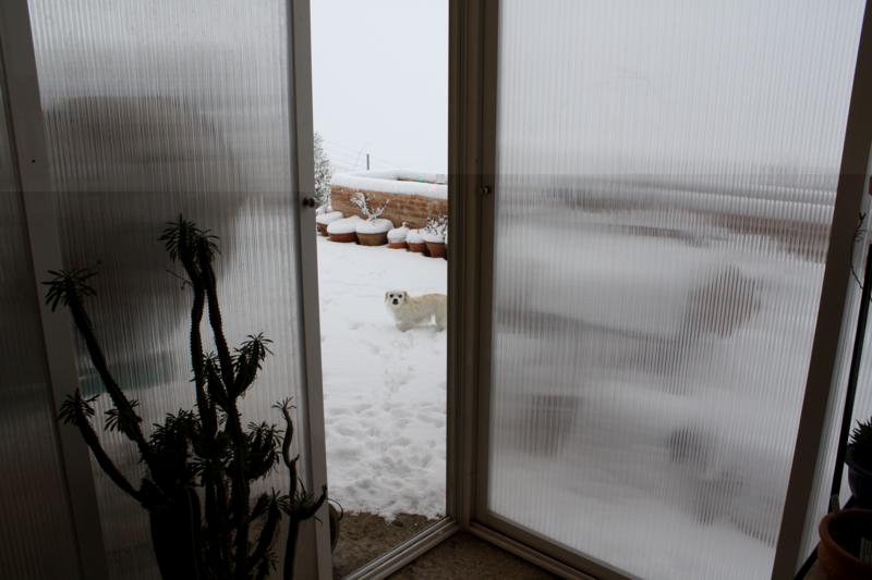 Invernadero.jpg