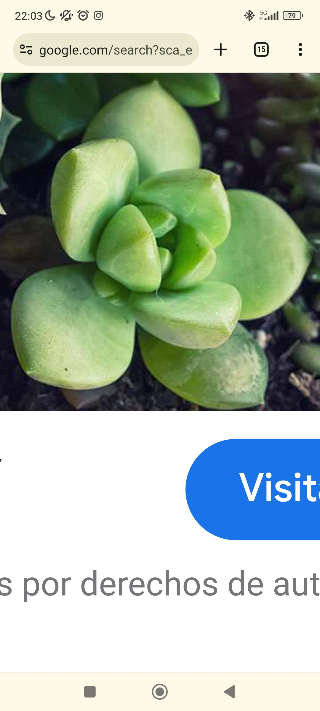 Screenshot_2024-06-05-22-03-30-523_com.android.chrome.jpg