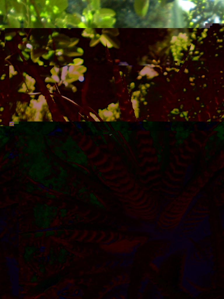 Id 4.JPG