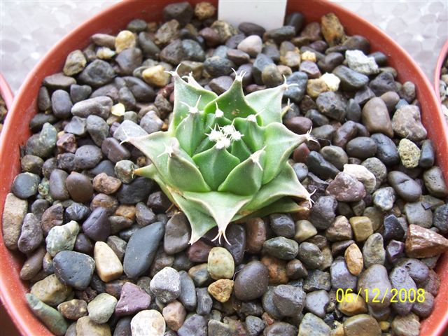 100_0594.jpg