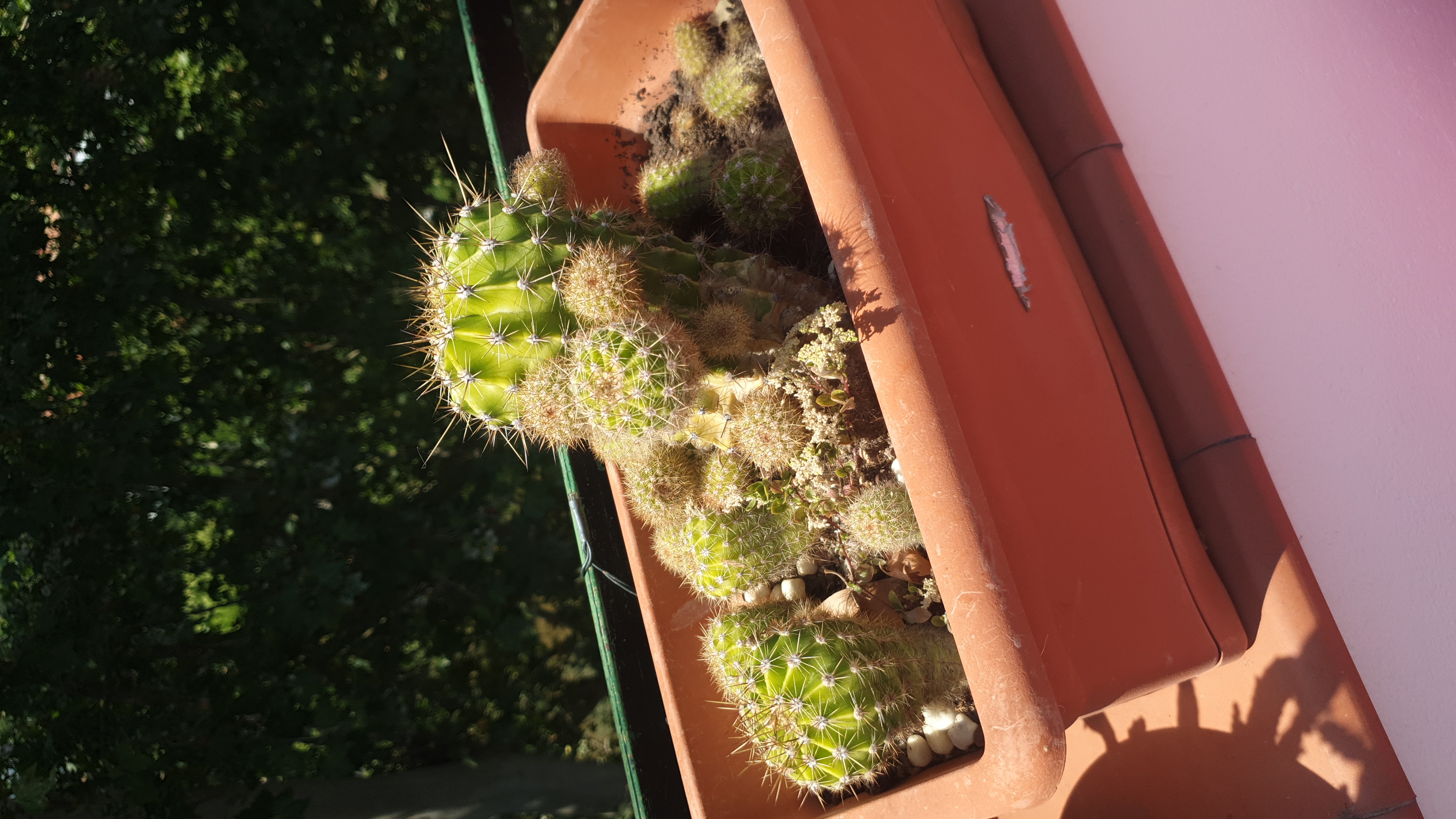 IMG-20240726-WA0016.jpeg