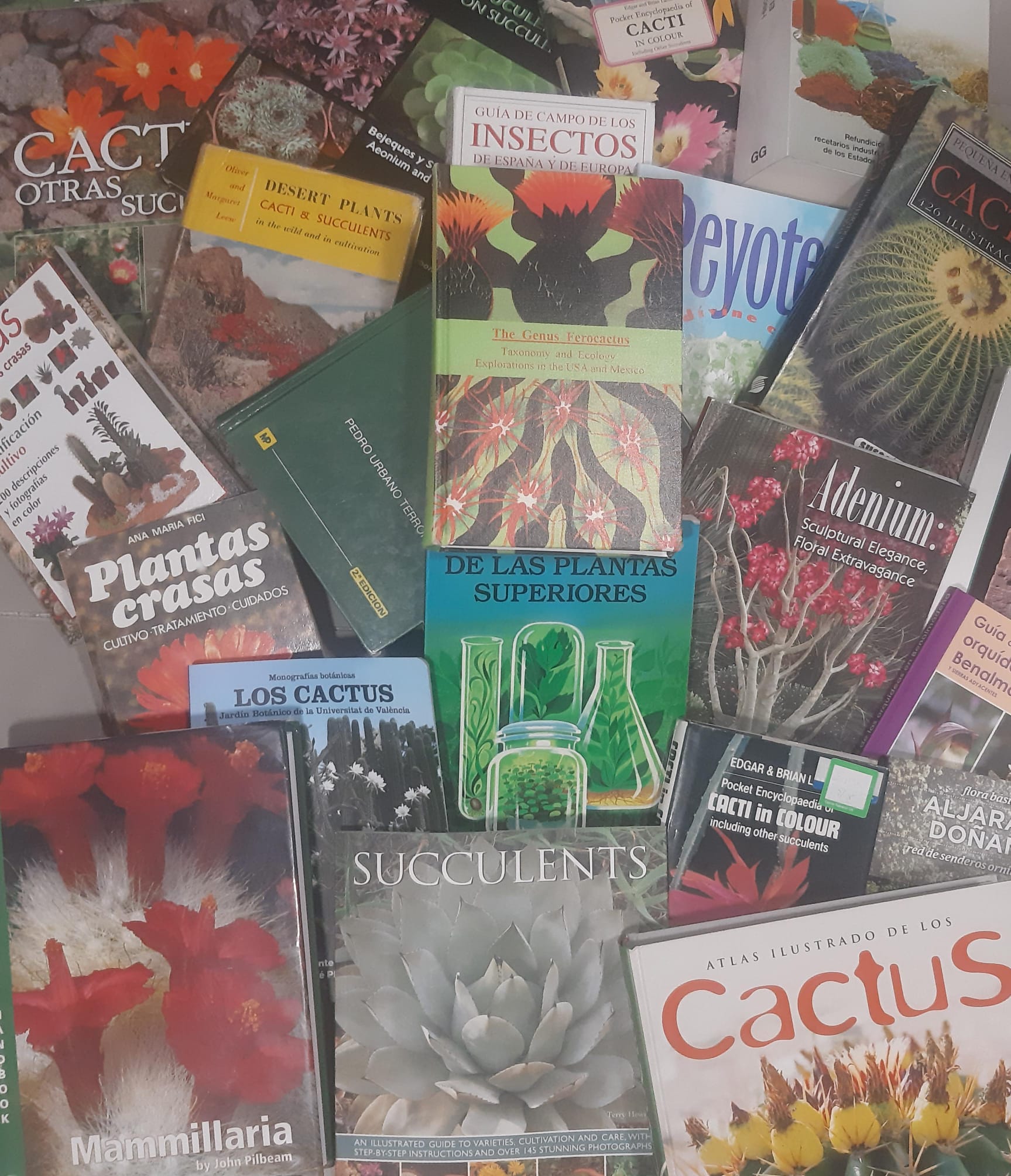 WhatsApp Image 2024-09-15 at 8.58.26 PM.jpeg