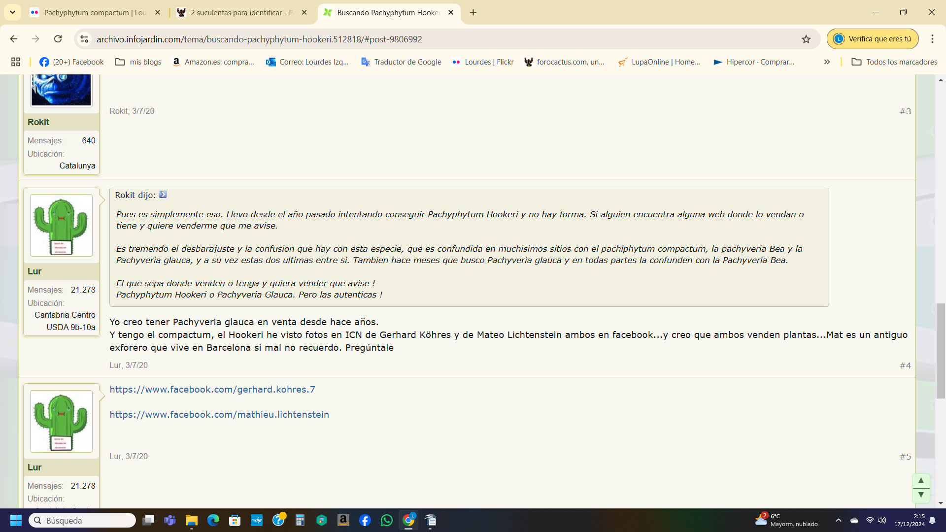 Captura de pantalla 2024-12-17 021528.png