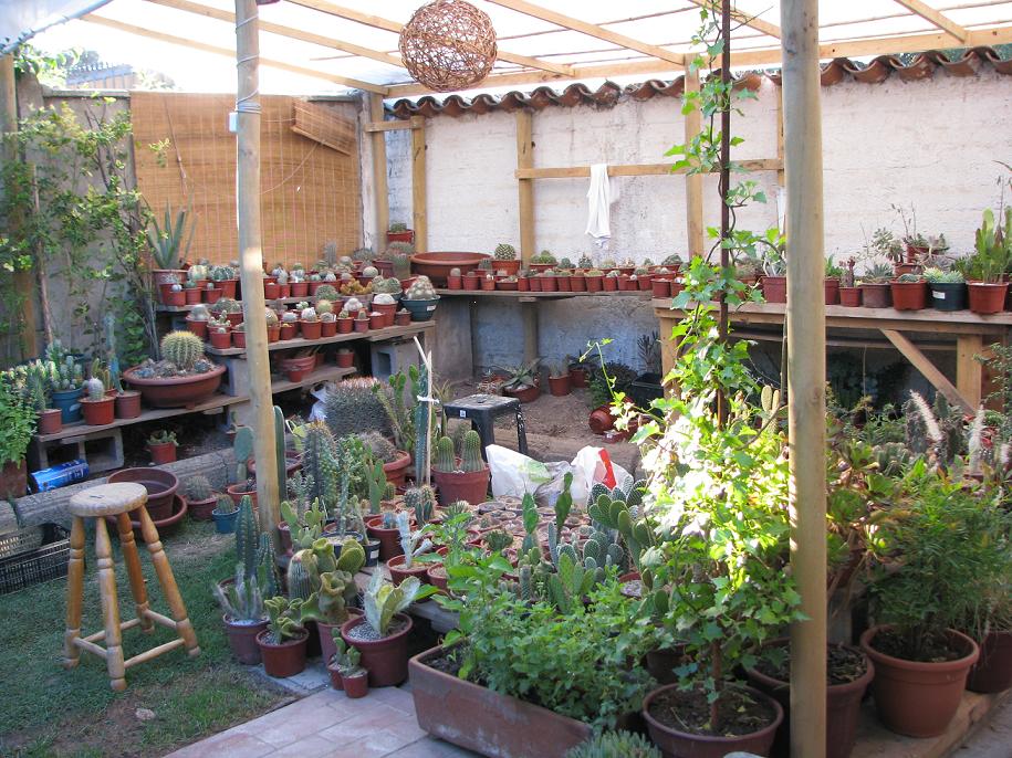 Imagen 0011.JPG