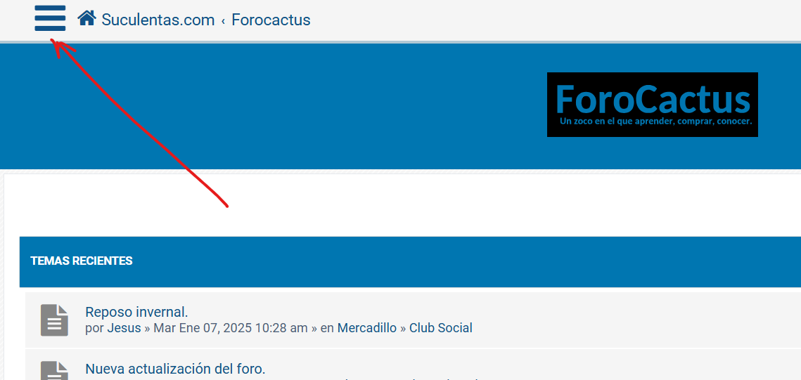Captura de pantalla 2025-01-07 232016.png