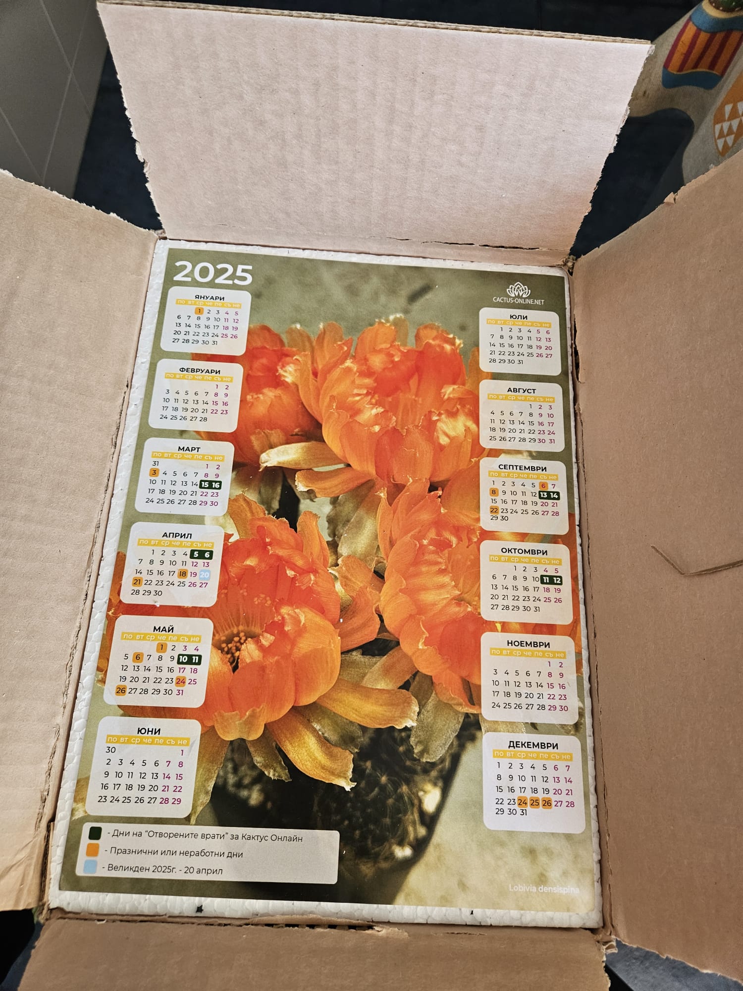 WhatsApp Image 2024-12-23 at 10.23.50.jpeg