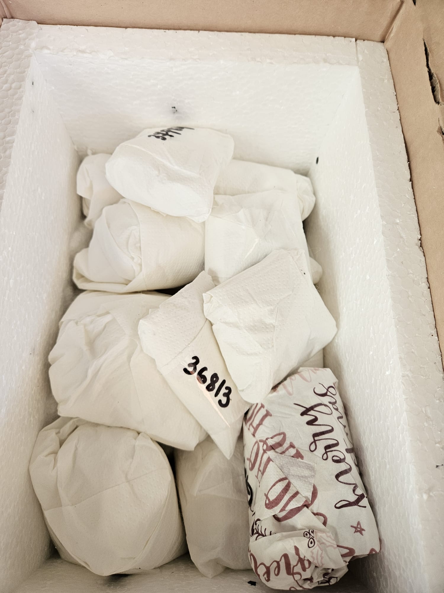 WhatsApp Image 2024-12-23 at 10.25.44.jpeg