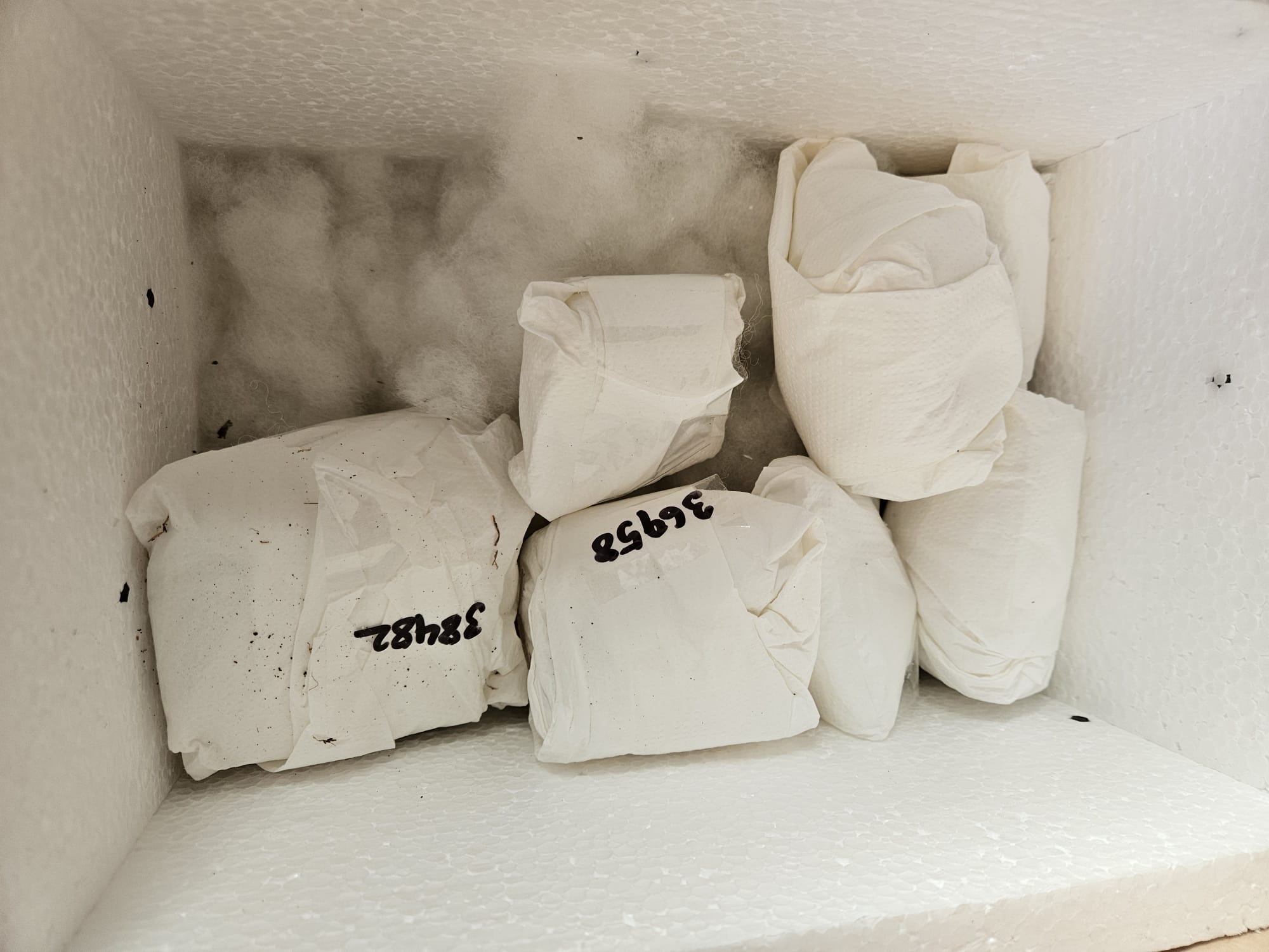 WhatsApp Image 2024-12-23 at 10.38.46.jpeg