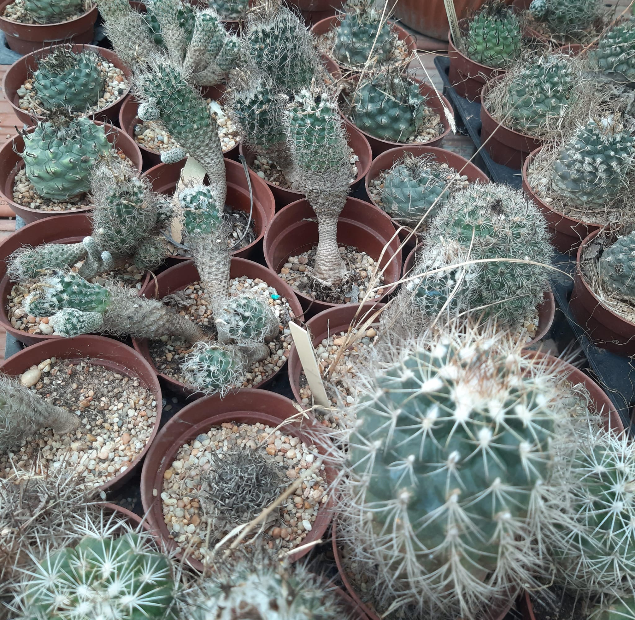 WhatsApp Image 2025-01-11 at 8.15.03 PM.jpeg