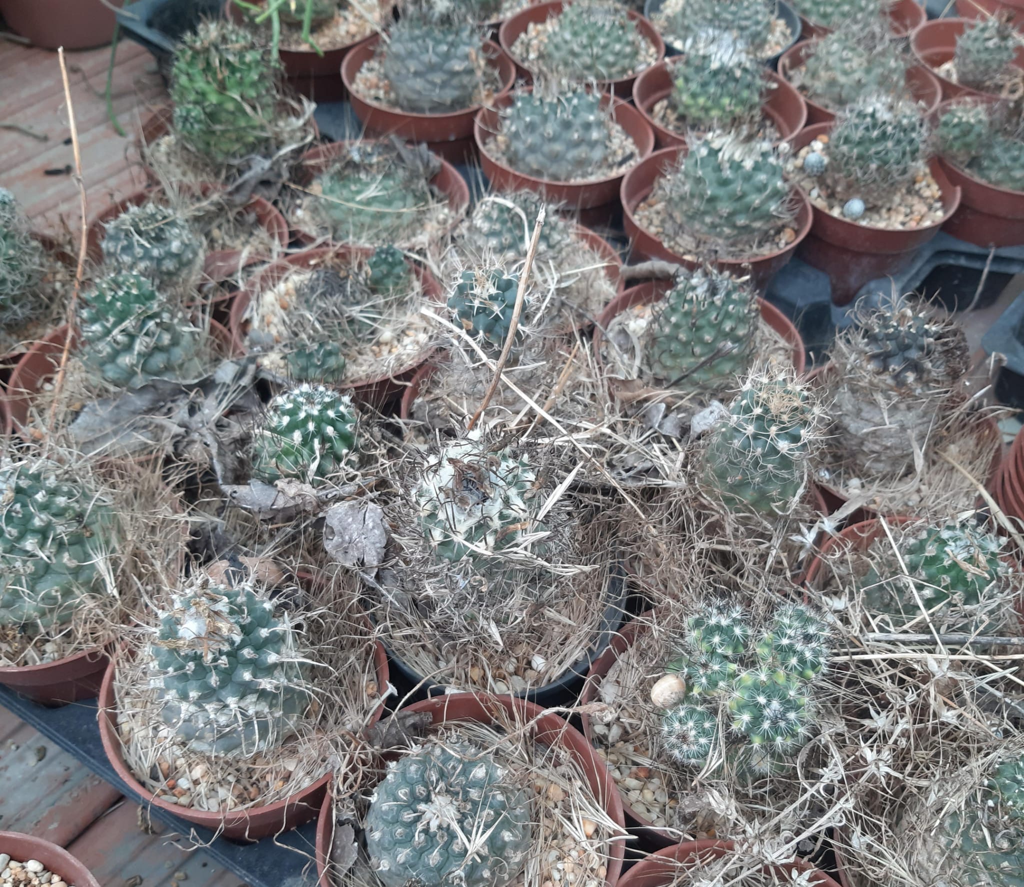 WhatsApp Image 2025-01-11 at 8.15.02 PM.jpeg