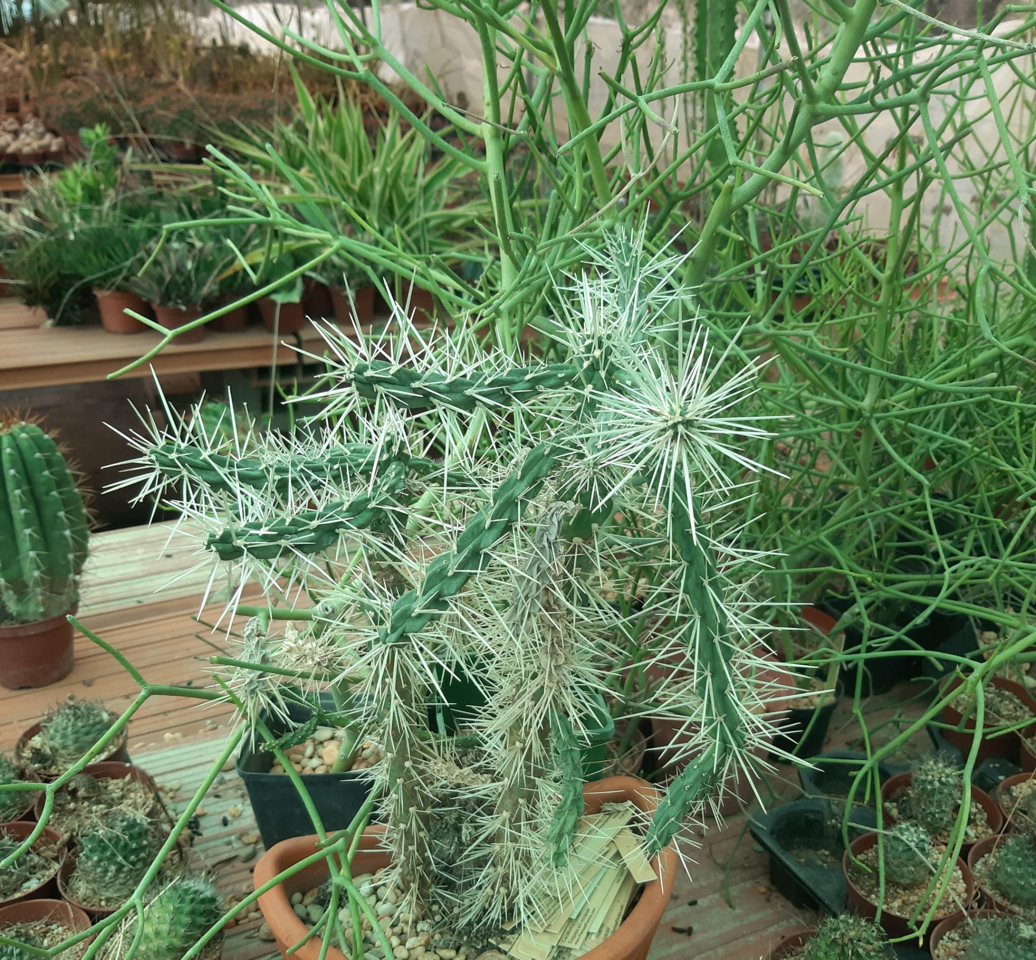 WhatsApp Image 2025-01-11 at 8.15.03 PM (1).jpeg