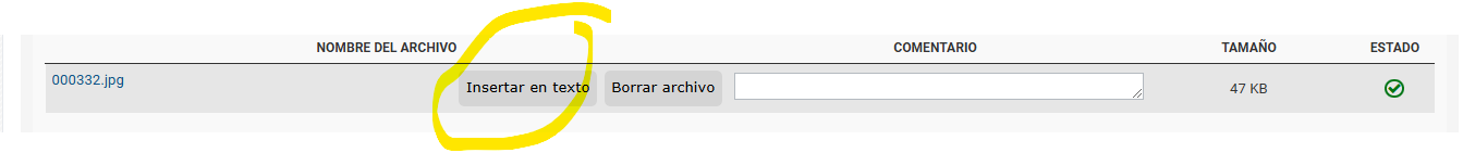 insertar en texto.png