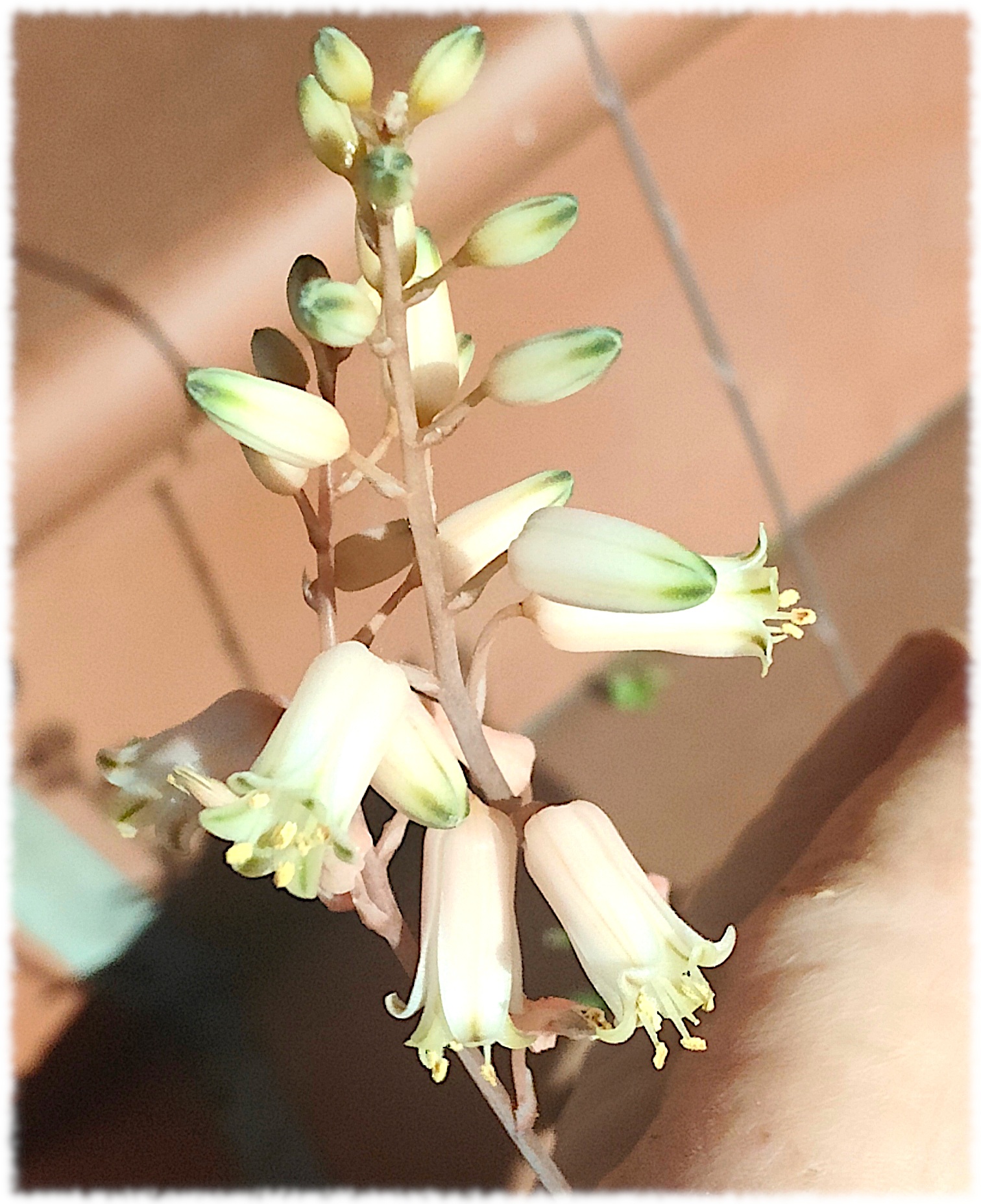 500.jpg