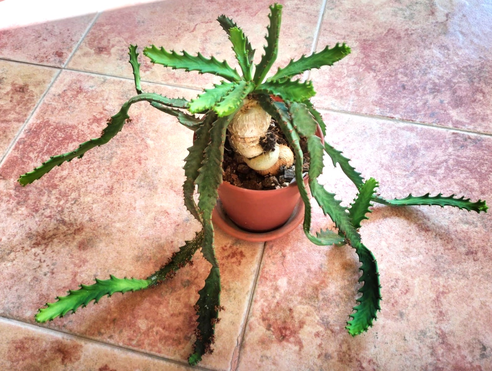 5) septiembre 2024.jpg