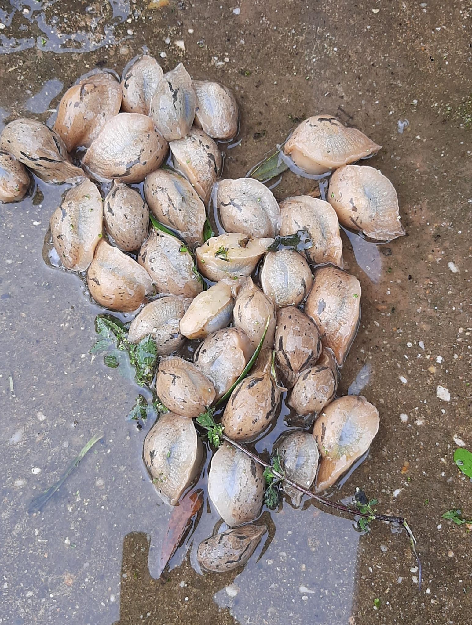 WhatsApp Image 2025-01-27 at 12.03.00 PM.jpeg