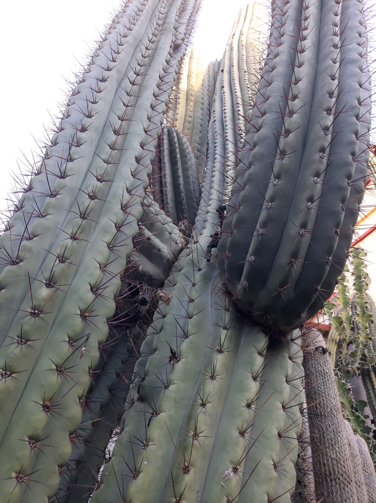 WhatsApp Image 2025-01-27 at 12.02.24 PM.jpeg