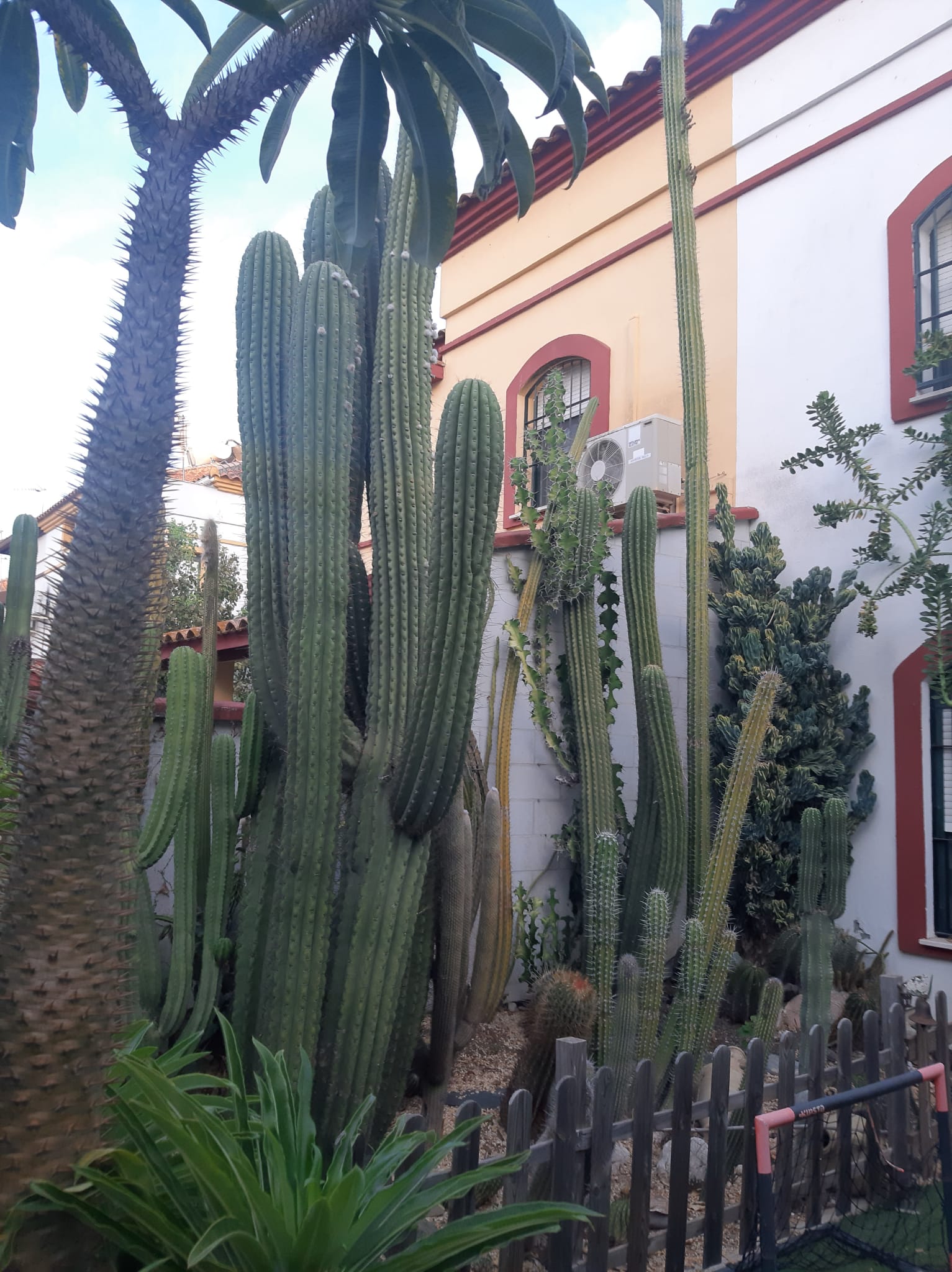 WhatsApp Image 2025-01-28 at 10.13.47 AM.jpeg