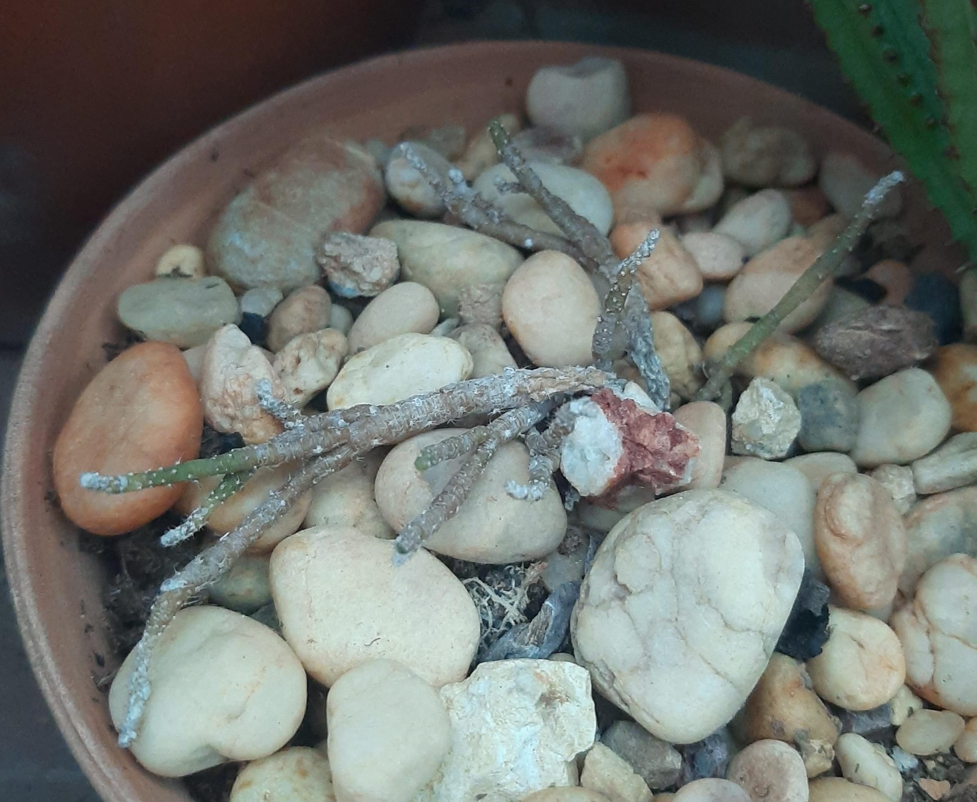 WhatsApp Image 2025-01-29 at 9.14.23 AM.jpeg