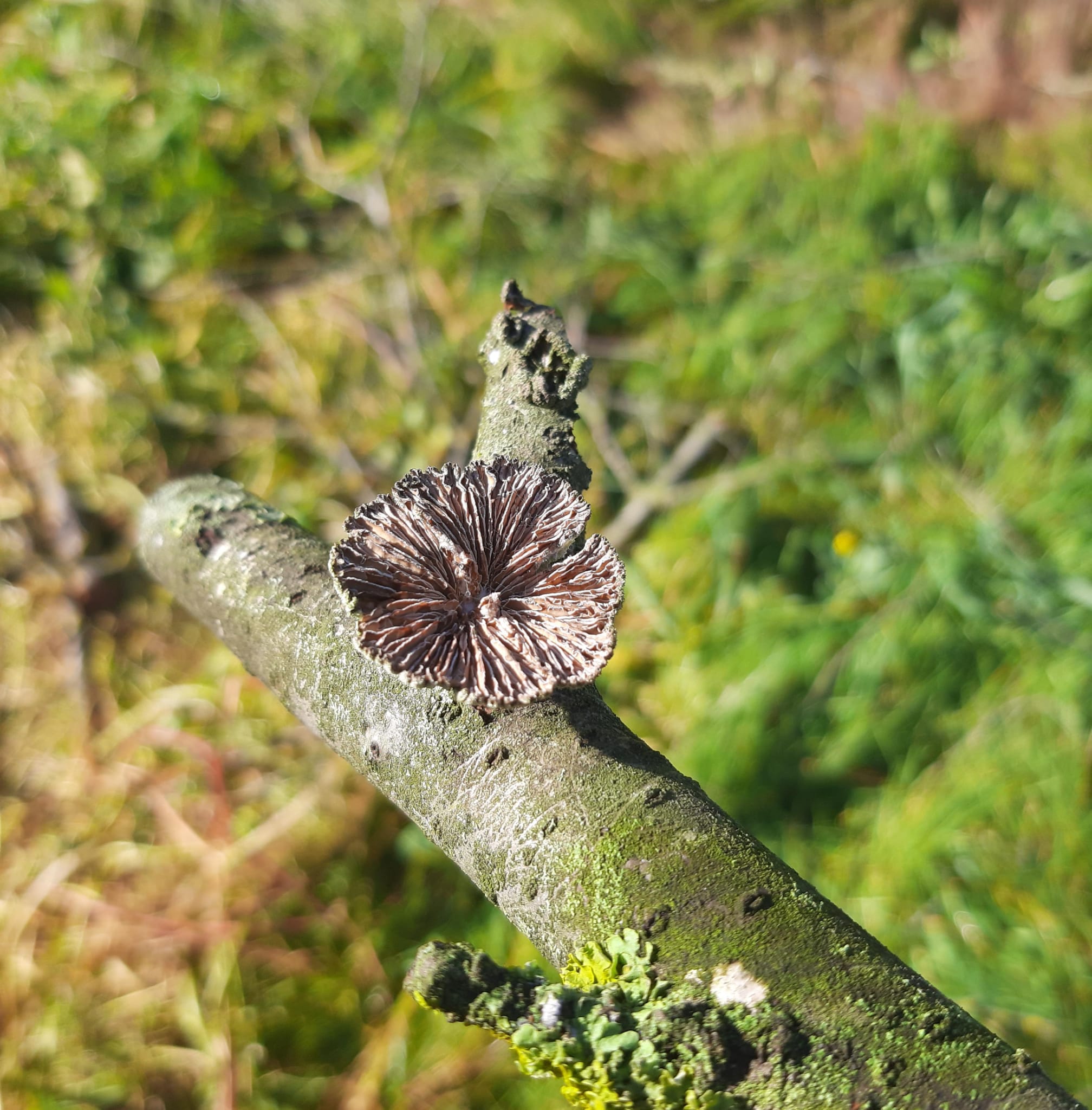 WhatsApp Image 2025-01-30 at 5.51.20 PM.jpeg