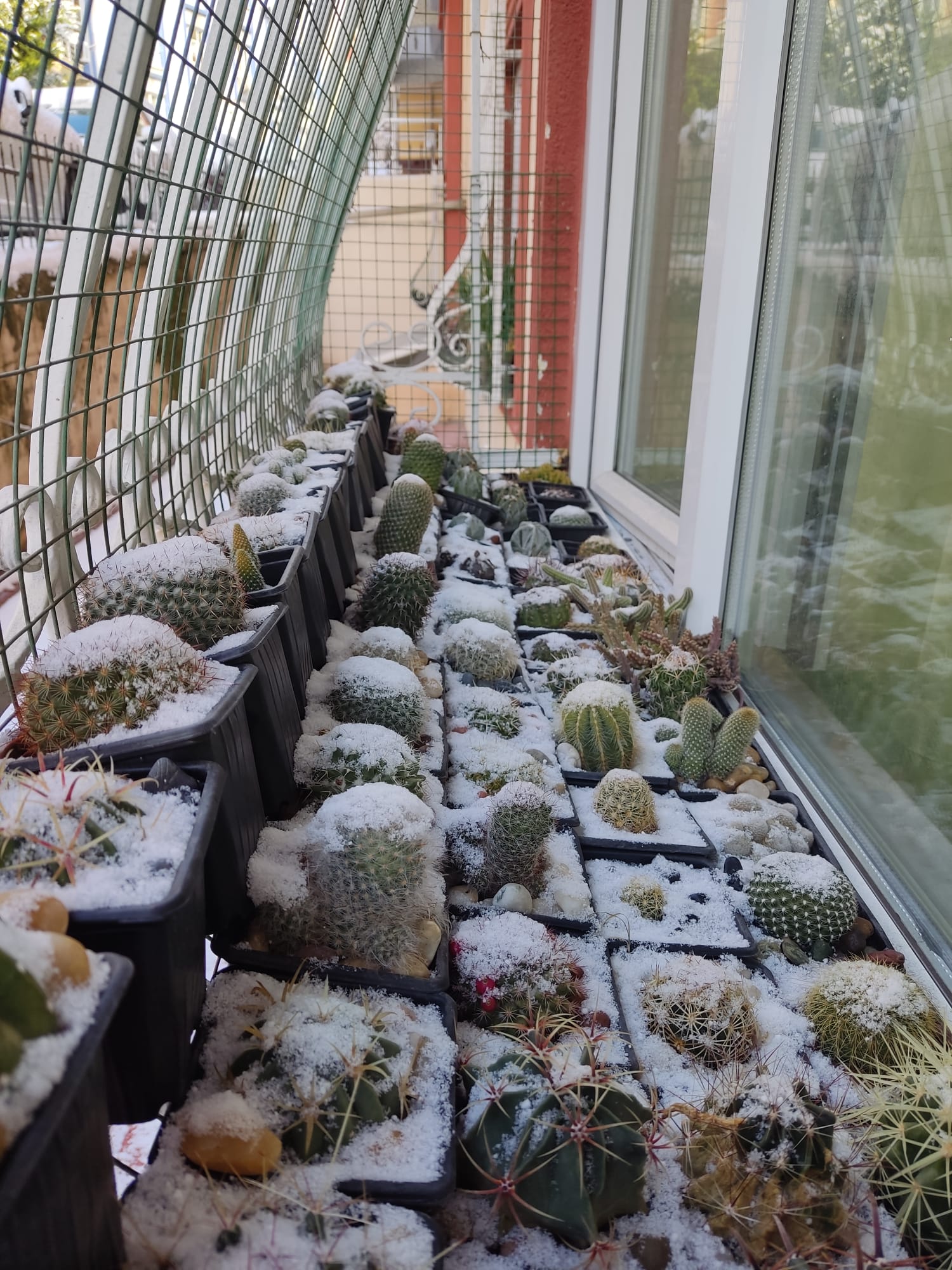 WhatsApp Image 2025-02-22 at 16.21.20.jpeg