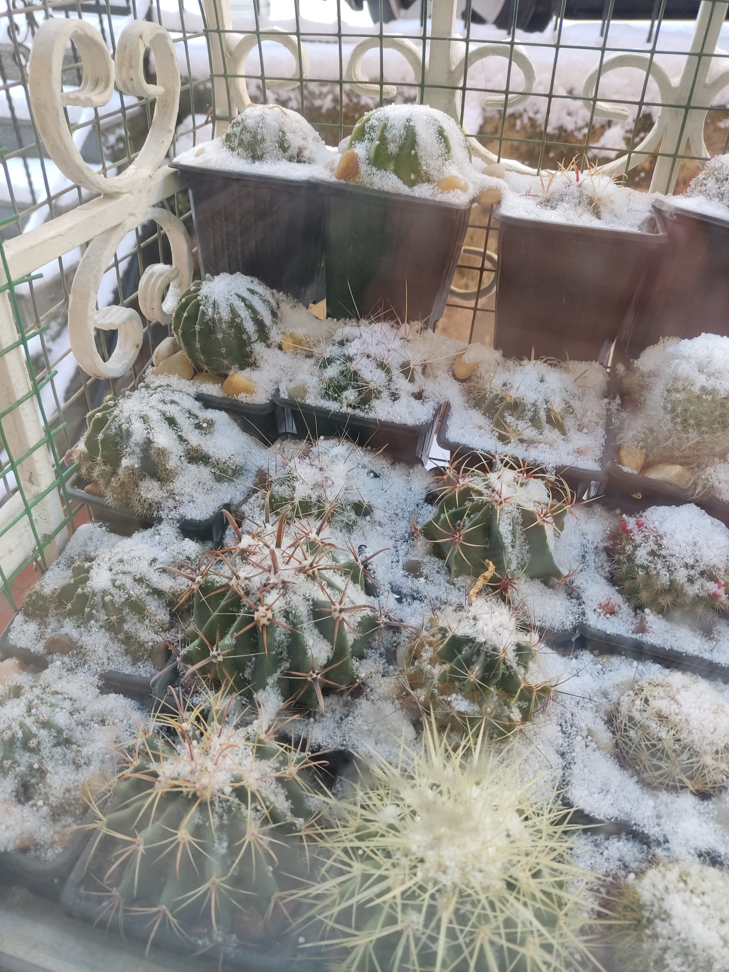 WhatsApp Image 2025-02-22 at 16.21.20(2).jpeg