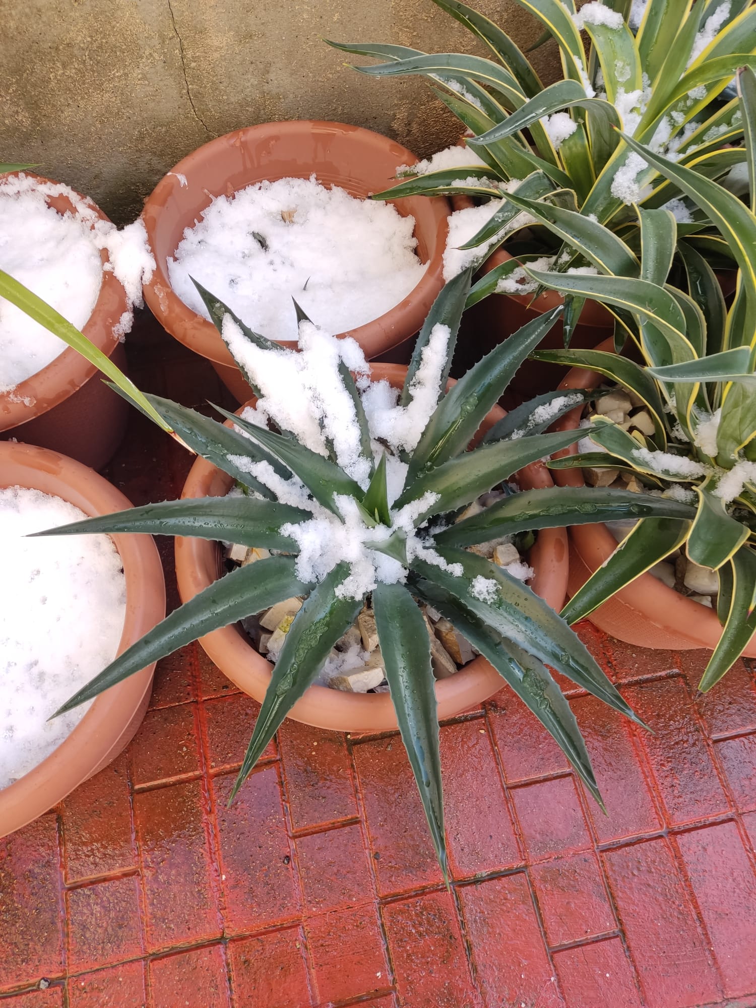 WhatsApp Image 2025-02-22 at 16.32.01 (1).jpeg