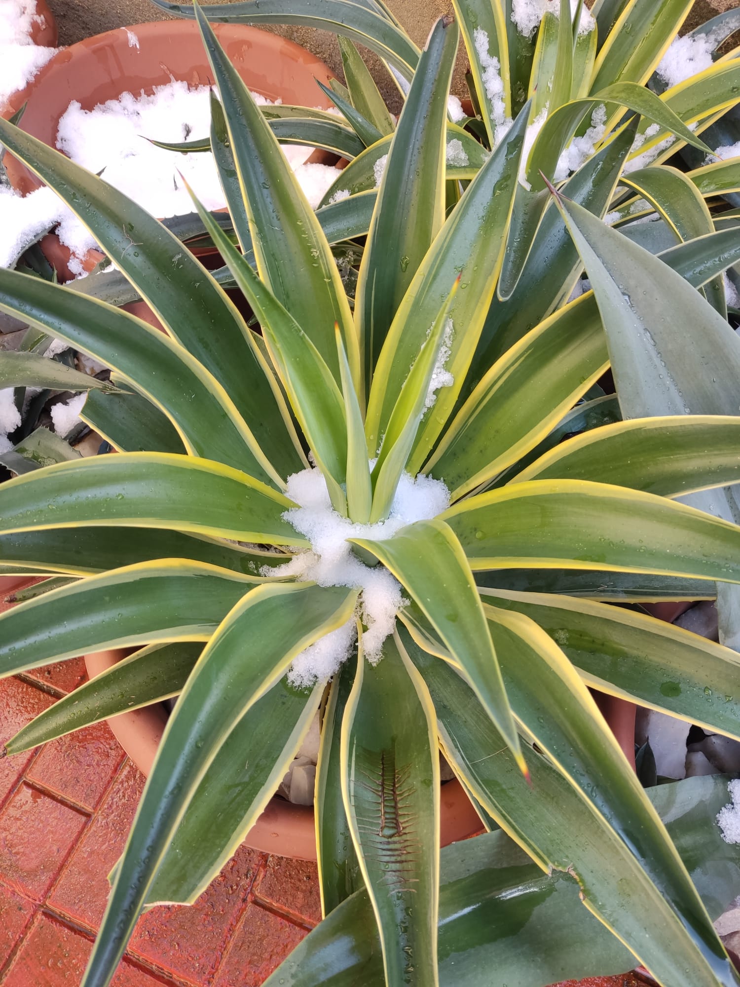 WhatsApp Image 2025-02-22 at 16.32.01.jpeg