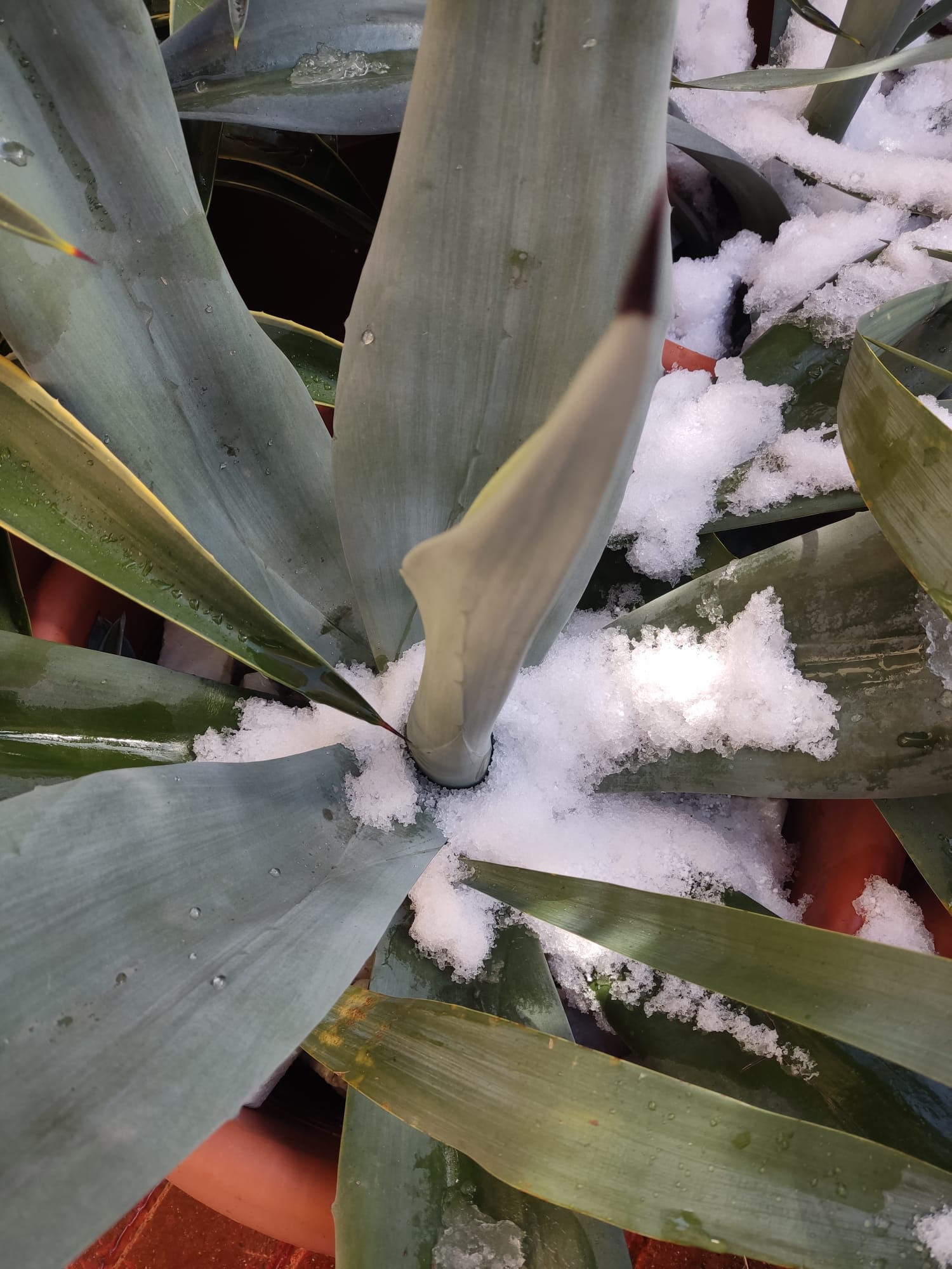 WhatsApp Image 2025-02-22 at 16.32.02 (1).jpeg