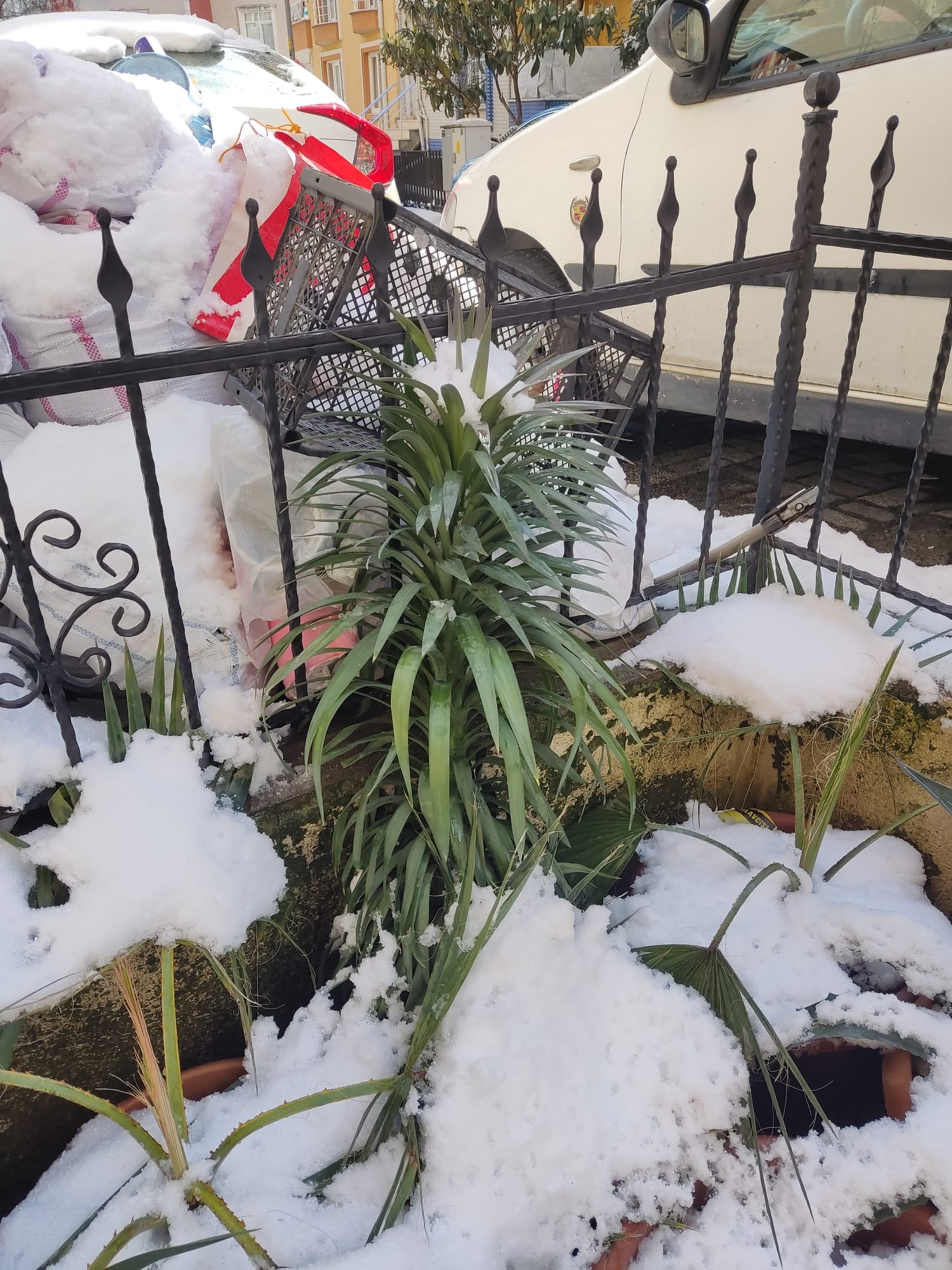 WhatsApp Image 2025-02-22 at 16.32.02.jpeg