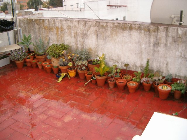 HPIM8815.JPG