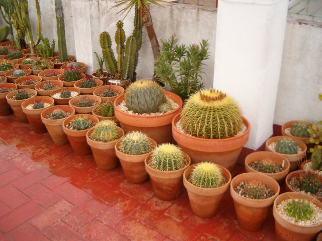 HPIM8816.JPG