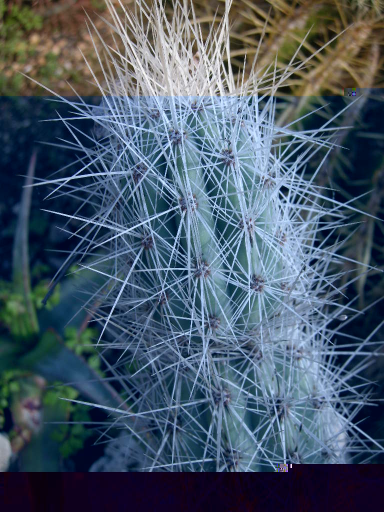 DSCN0093.JPG