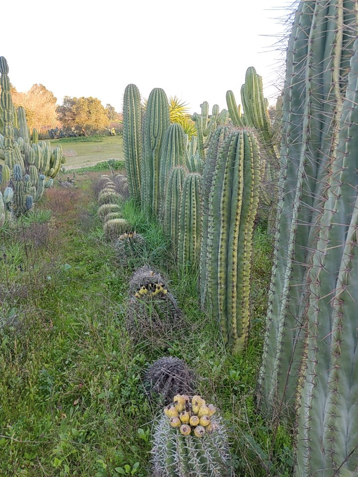 WhatsApp Image 2025-02-27 at 23.08.24.jpeg