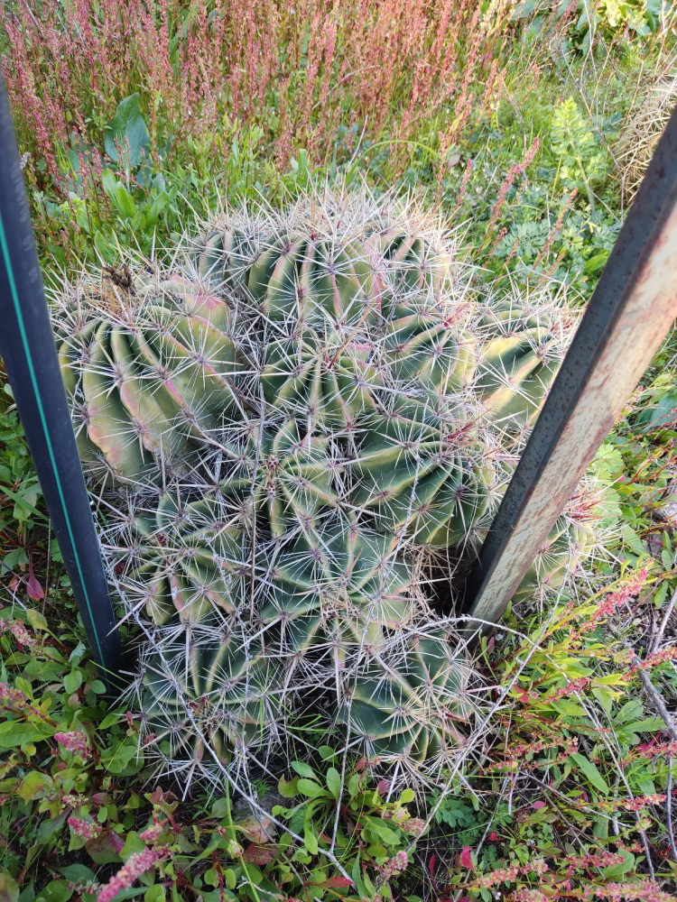 WhatsApp Image 2025-02-27 at 23.08.24 (4).jpg