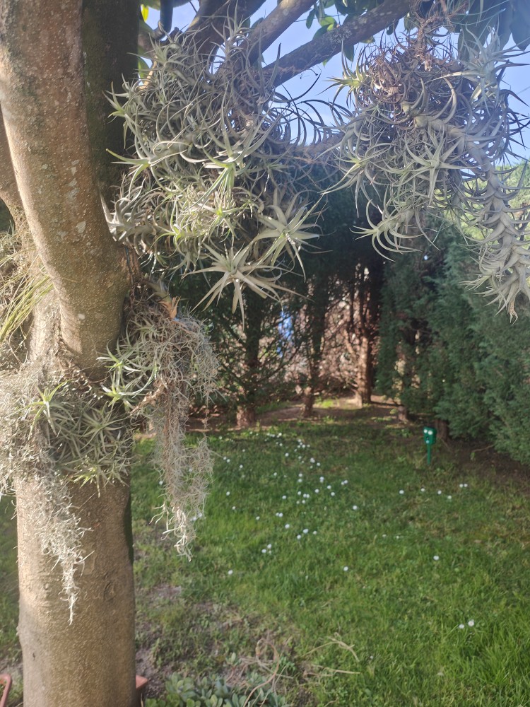 IMG20250305174200.jpg