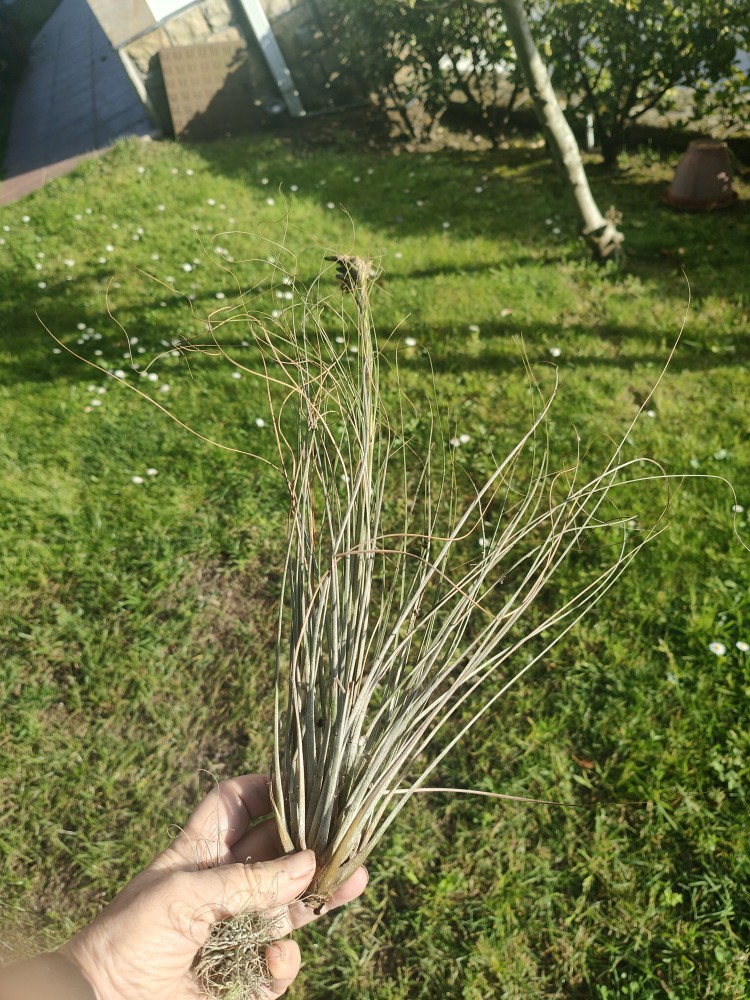 IMG20250305174317.jpg