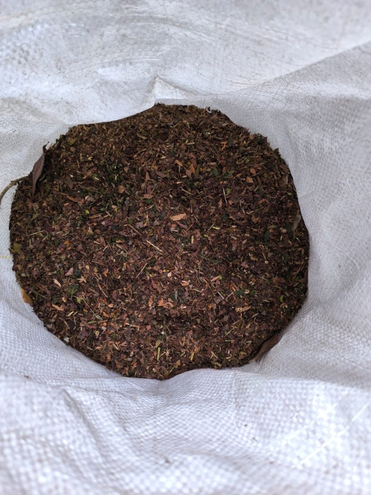 SAVE_20250314_195723.jpg (522.35 KiB) Visto 31500 veces Compost de hojas