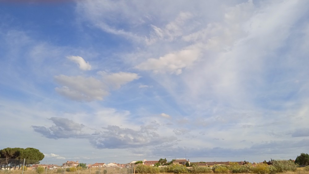 IMG_20220602_195803.jpg