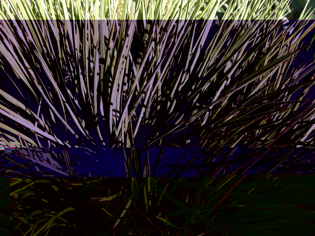 DSCN0171.JPG