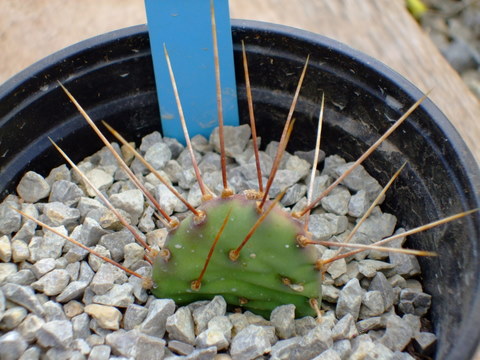 2009_03080014.JPG