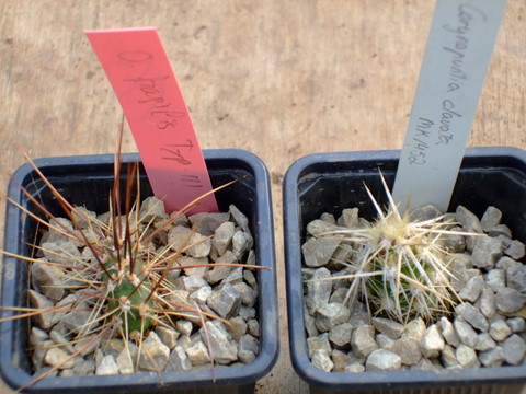 2009_03080018.JPG