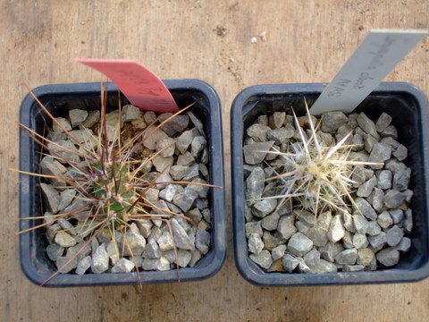 2009_03080019.JPG