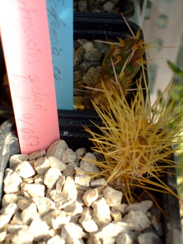2009_03080022.JPG
